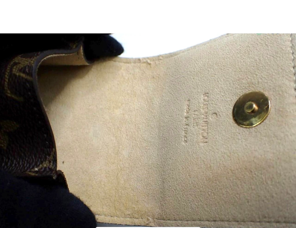 Louis Vuitton Monogram Pochette Florentine.